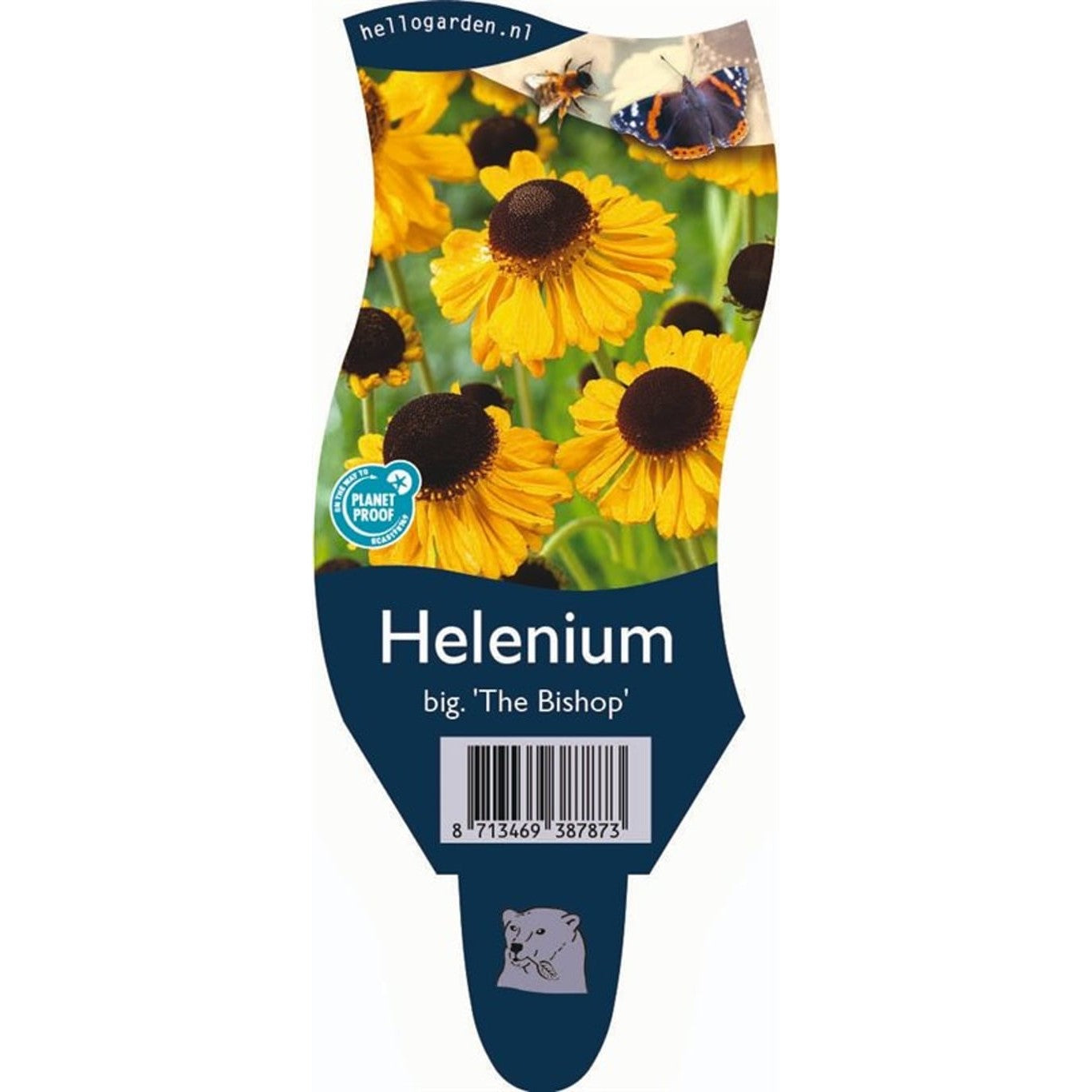 Solbrud – Helenium bigelovii 'The Bishop' - P11